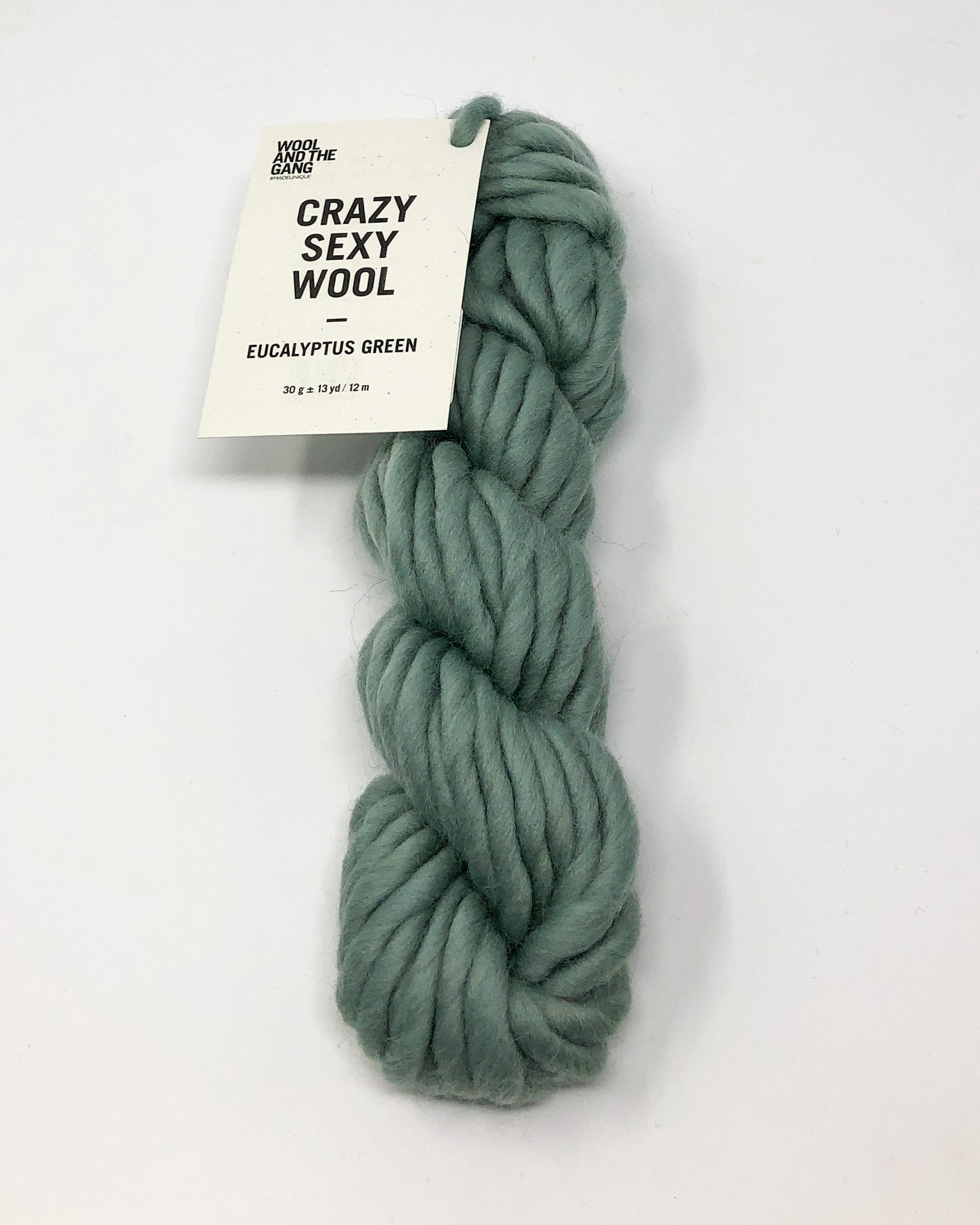 Wool and the Gang Crazy Sexy Wool 317 Wonderland Green
