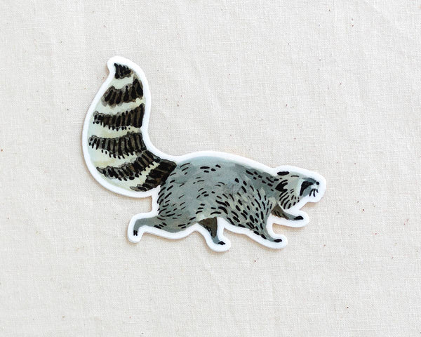 Raccoon Animal Vinyl Sticker