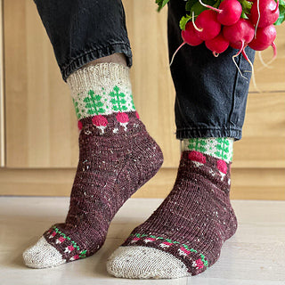 Radish Socks Kit